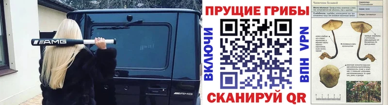 Псилоцибиновые грибы ЛСД  Свирск 